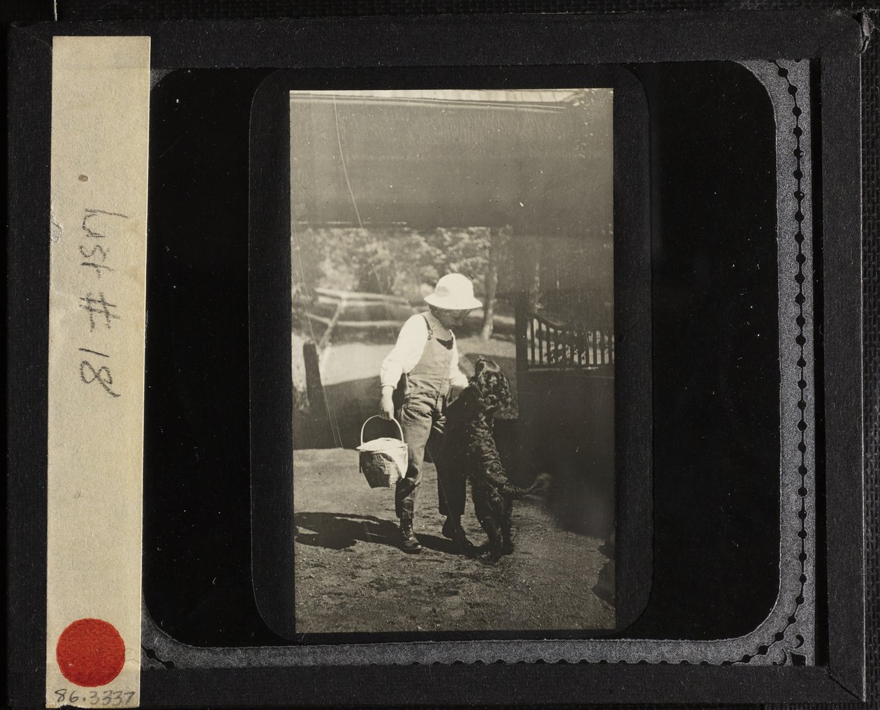 Untitled Niece Elizabeth with Inky at Oaklawn by Alfred Stieglitz