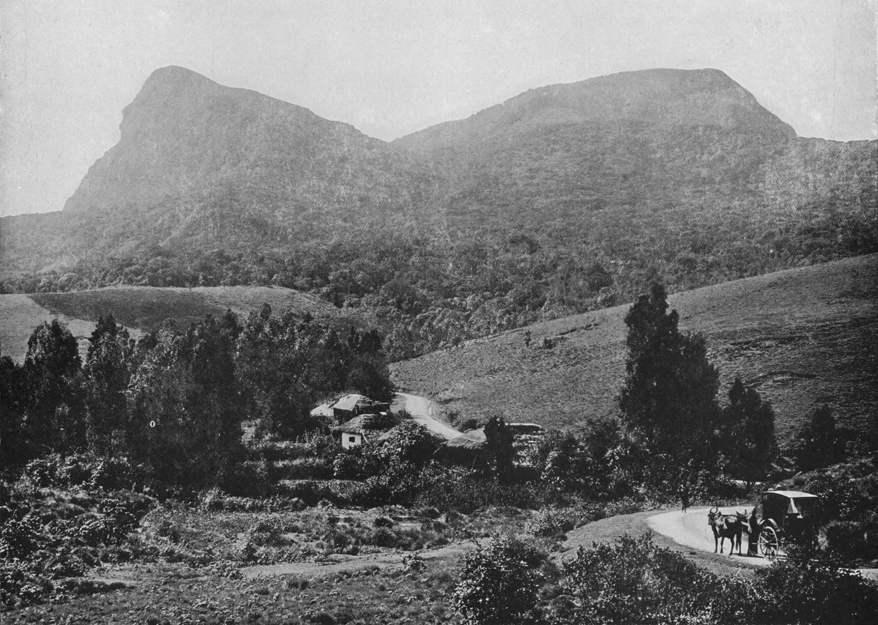 On the Road to Hakgalla. Hakgalla Rock in the Distance by Alfred William Amandus Plate