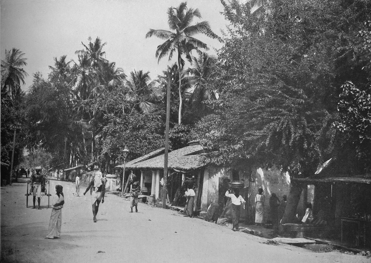 Roadside Scene on the Way to Mt. Lavinia by Alfred William Amandus Plate