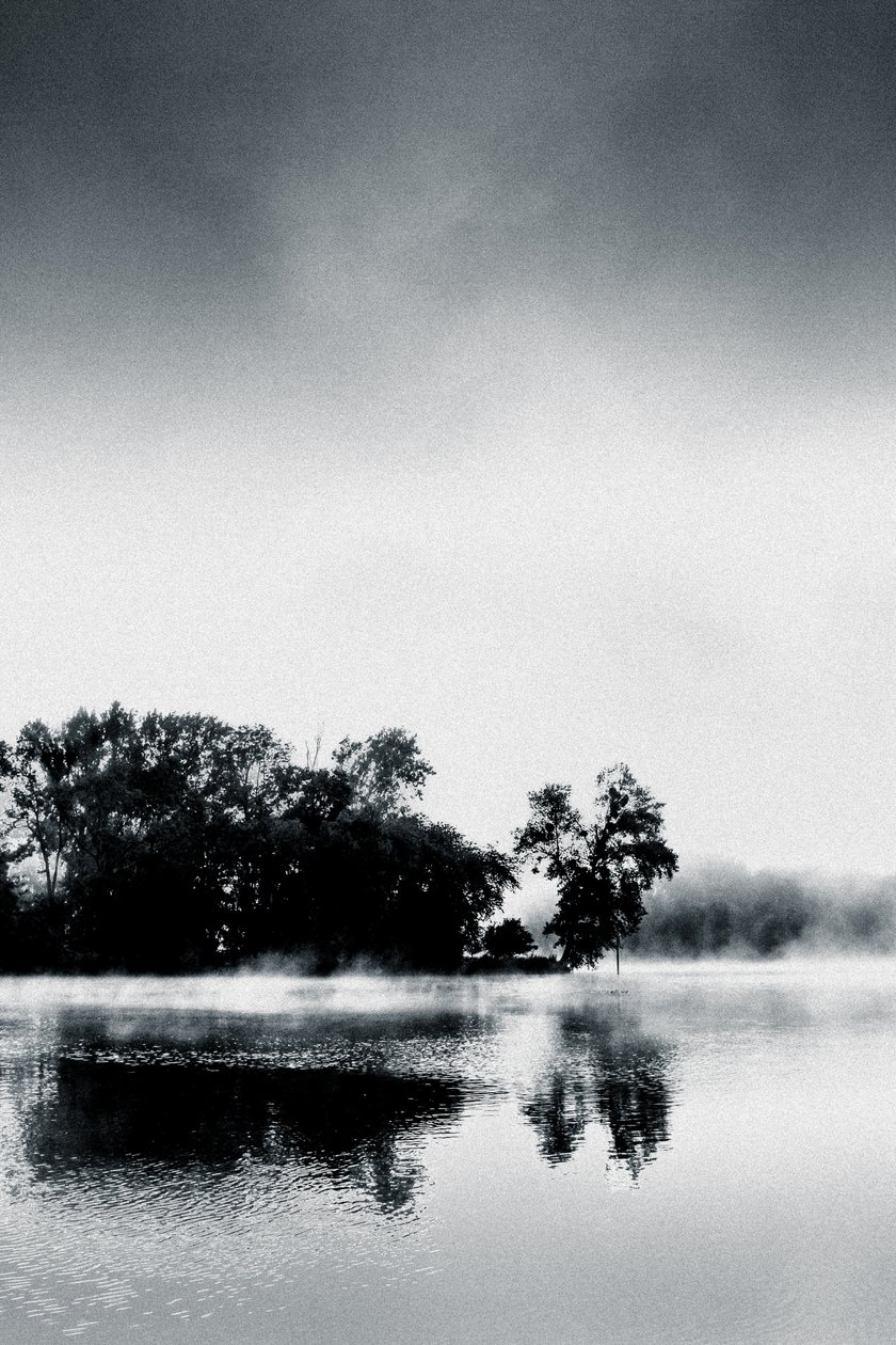Boissy Morning, 2017 by Alice Gur Arie