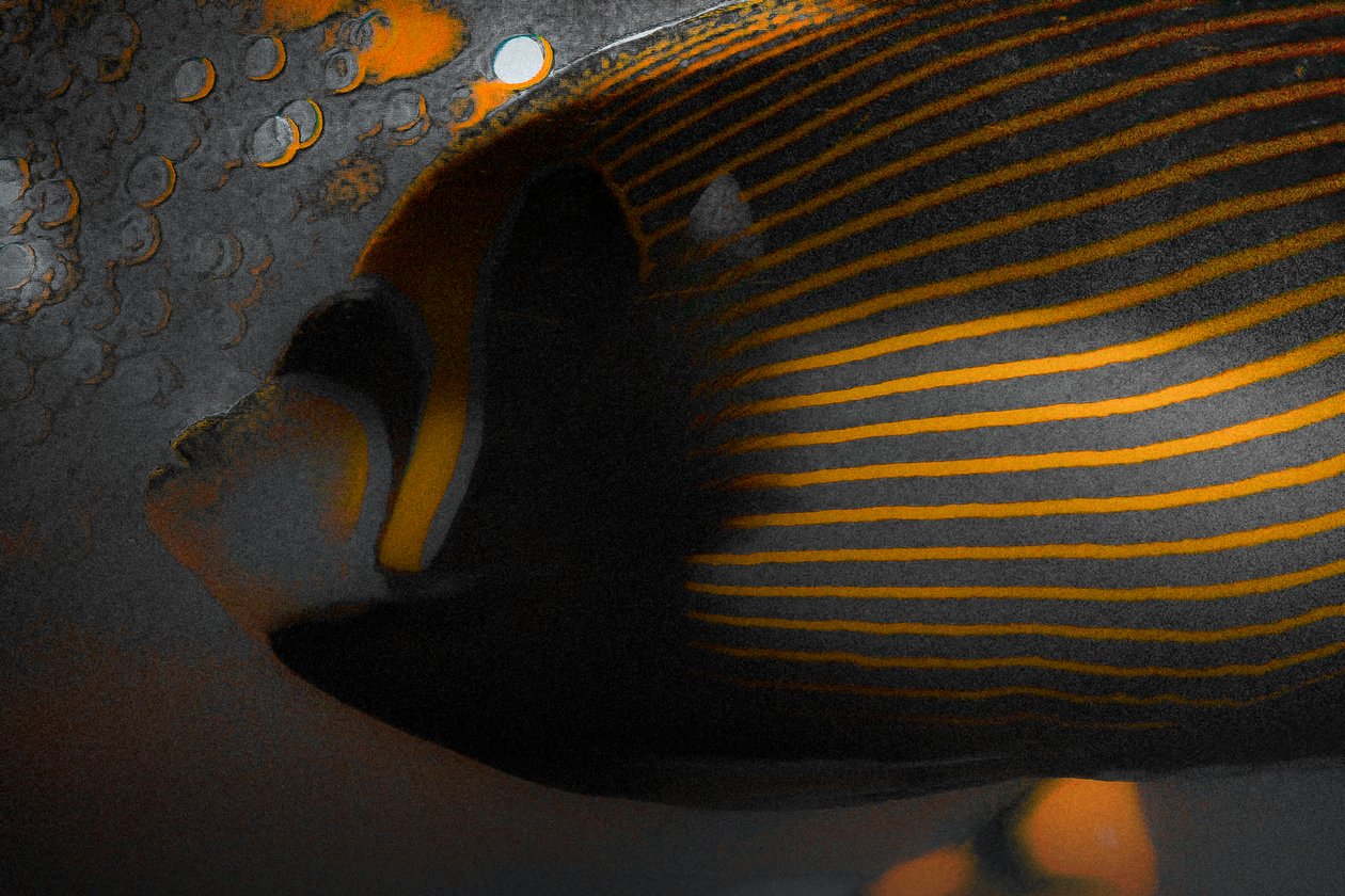 Bubbles and Stripes, 2018 by Alice Gur Arie