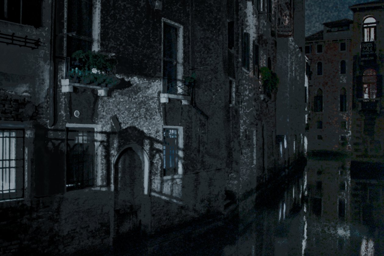 Moonshadows, Venice, 2018 by Alice Gur-Arie