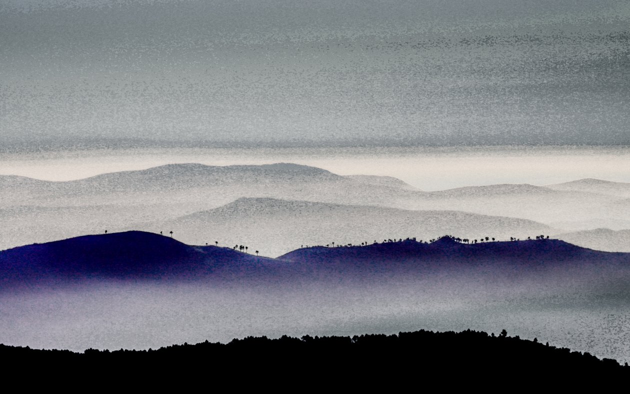 Silhouette Ridge from the series The King