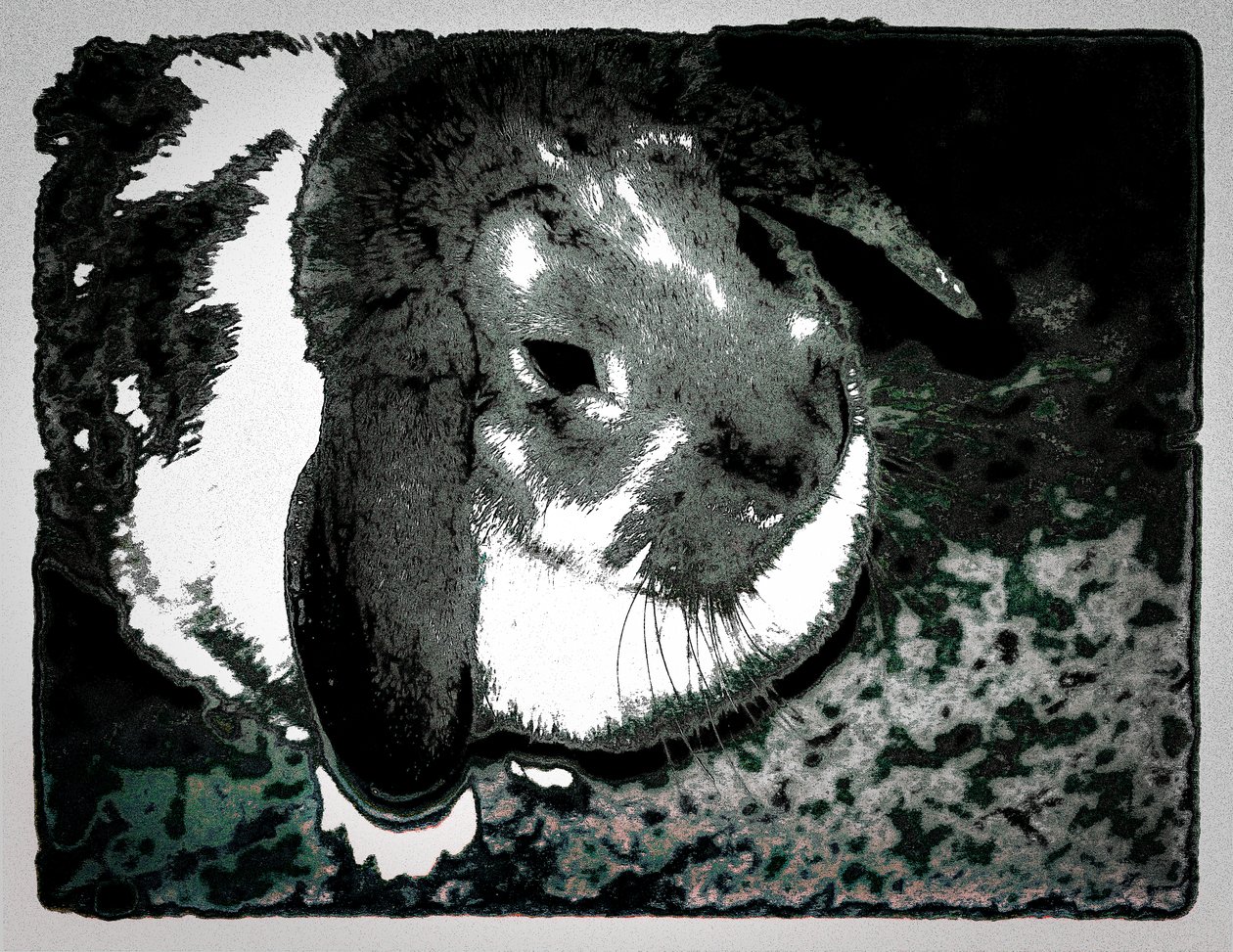 Rabbit Habbits, 2022 by Alice Gur Arie