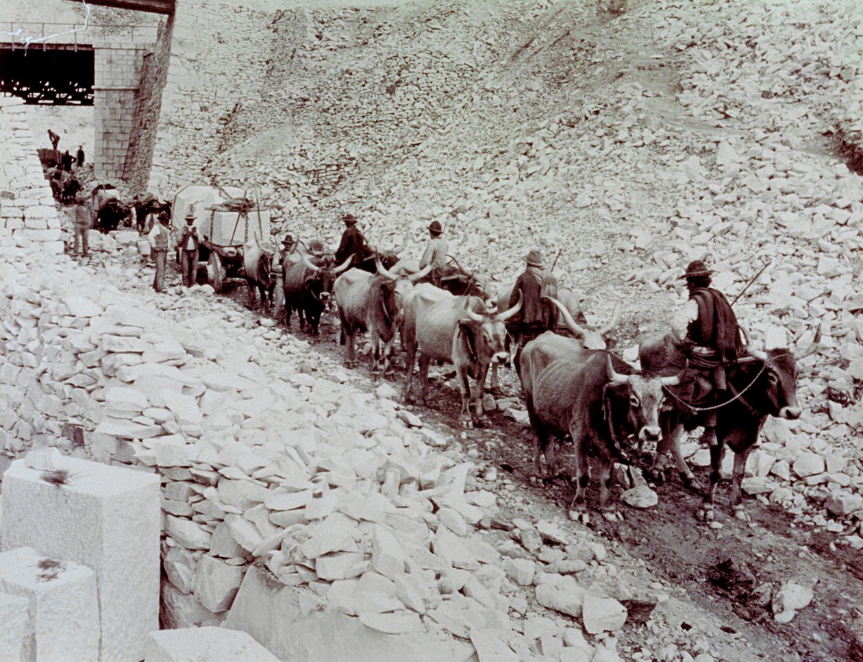 Scene showing marble blocks being transported from a quarry in Carrara. The wagon is being drawn by ten oxen by Fratelli Alinari