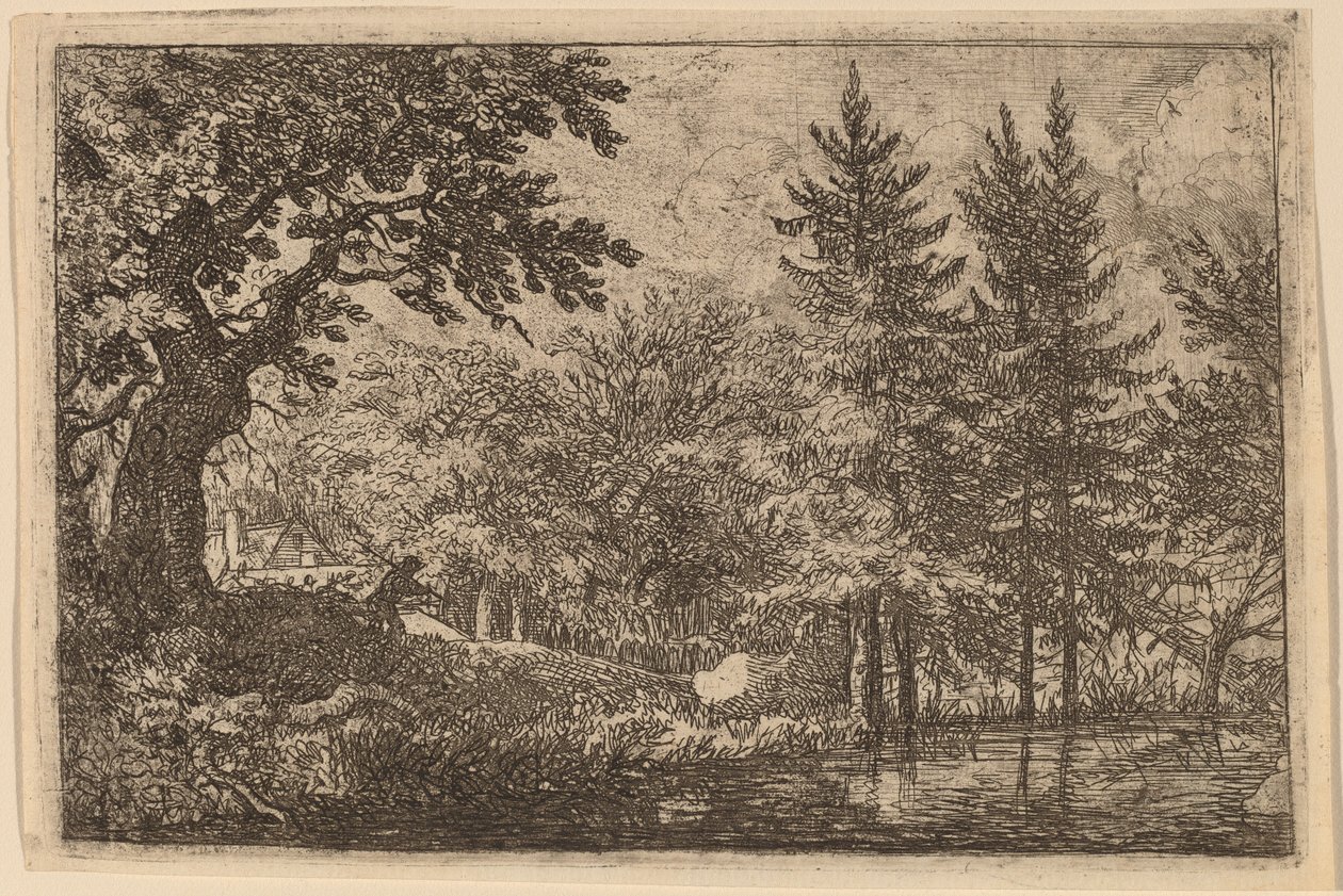 Fir Trees at the Water by Allart van Everdingen