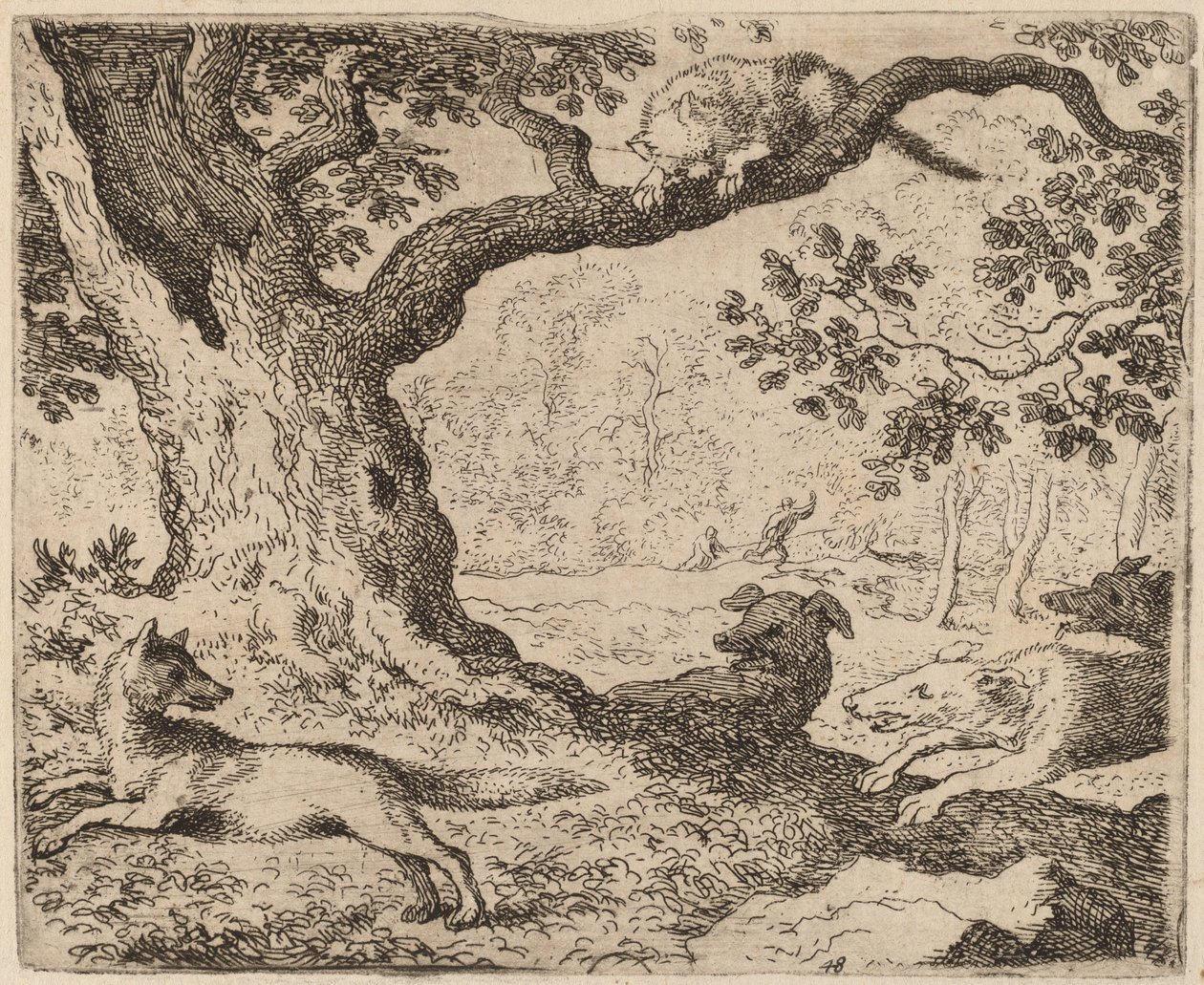 Reynard