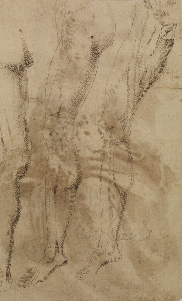 Three Studies of a Male Leg by Alonso Berruguete