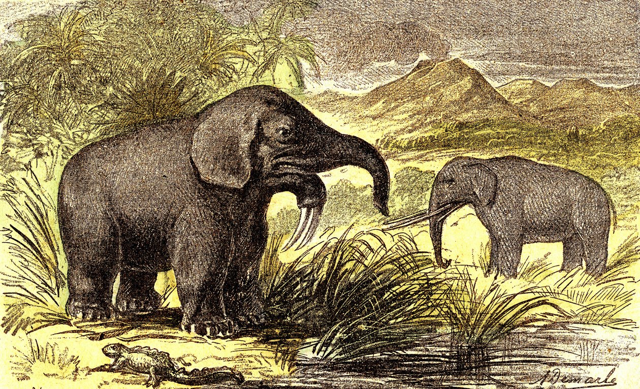 Prehistory-Miocene Period: From right to left: the Dinotherum and the Mastodonte by Alphonse Demarle