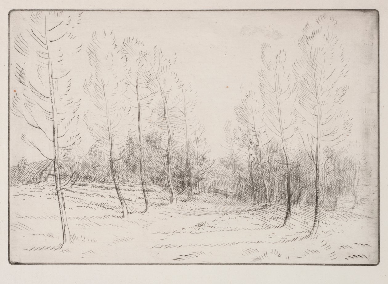 Avenue of Poplars by Alphonse Legros