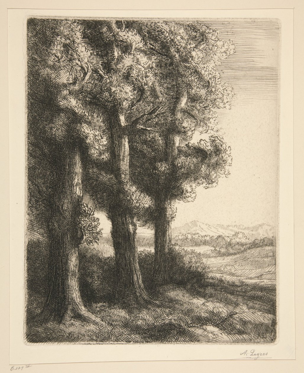 A Corner of a Wood by Alphonse Legros
