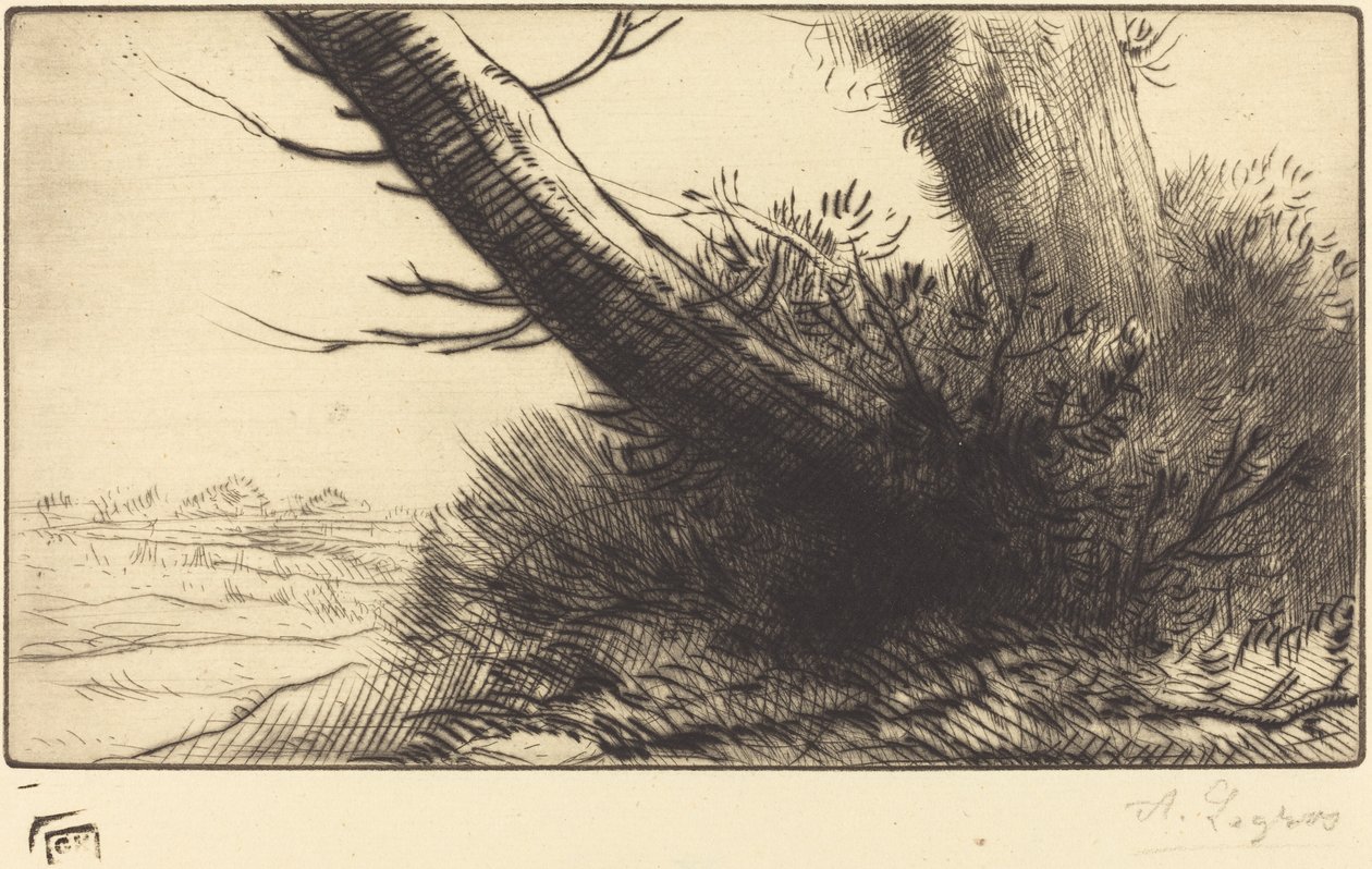 Corner of a Path by Alphonse Legros