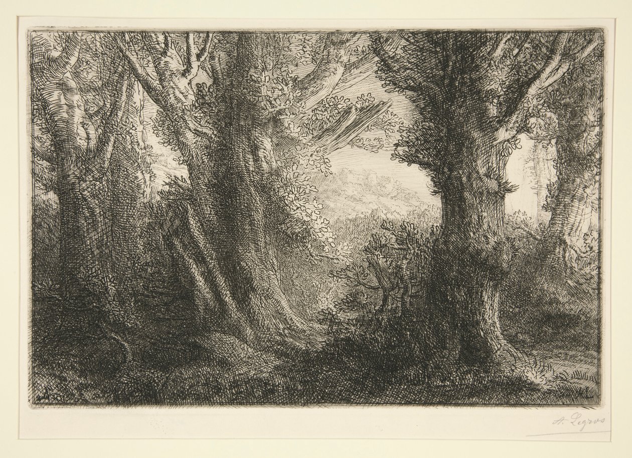 In the Forest of Conteville by Alphonse Legros