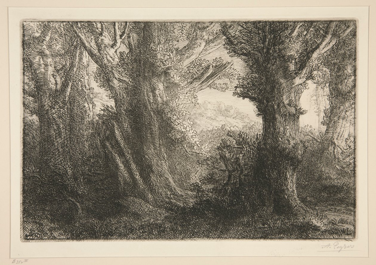 In the Forest of Conteville by Alphonse Legros