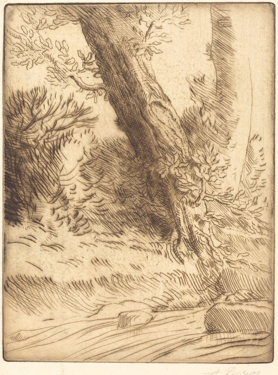 Edge of a Brook by Alphonse Legros
