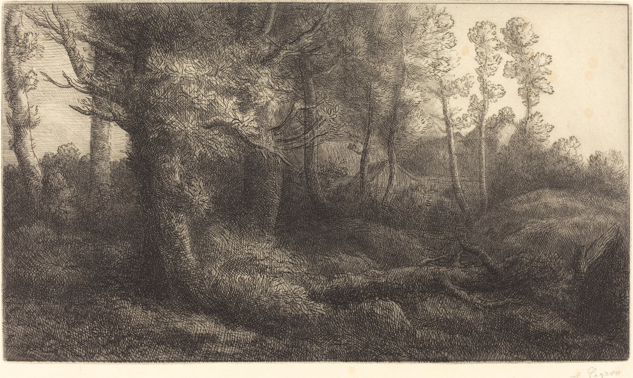 In the Forest by Alphonse Legros