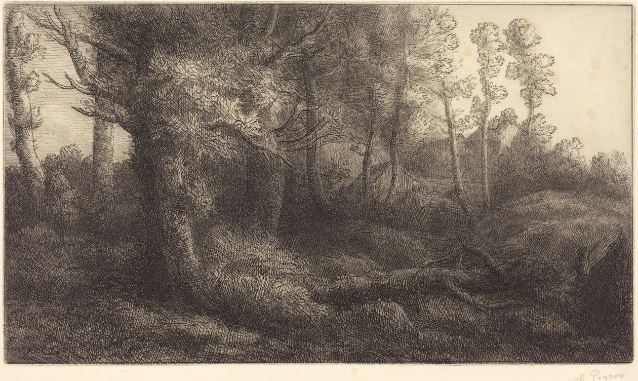 In the Forest by Alphonse Legros