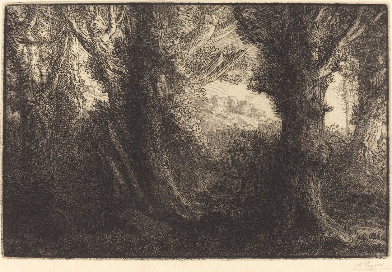In the Forest of Conteville by Alphonse Legros