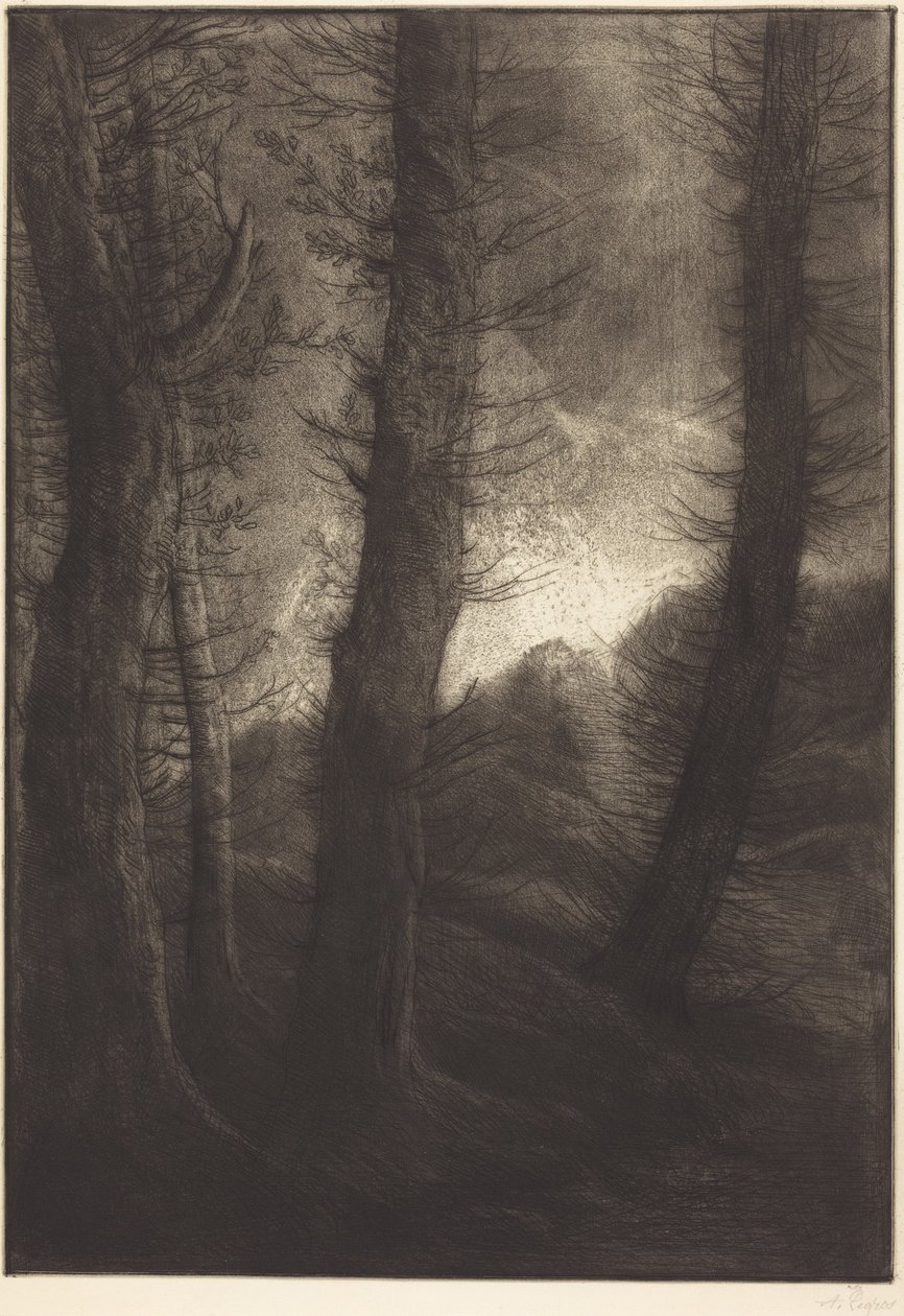 Large Trees Seen against the Sun by Alphonse Legros
