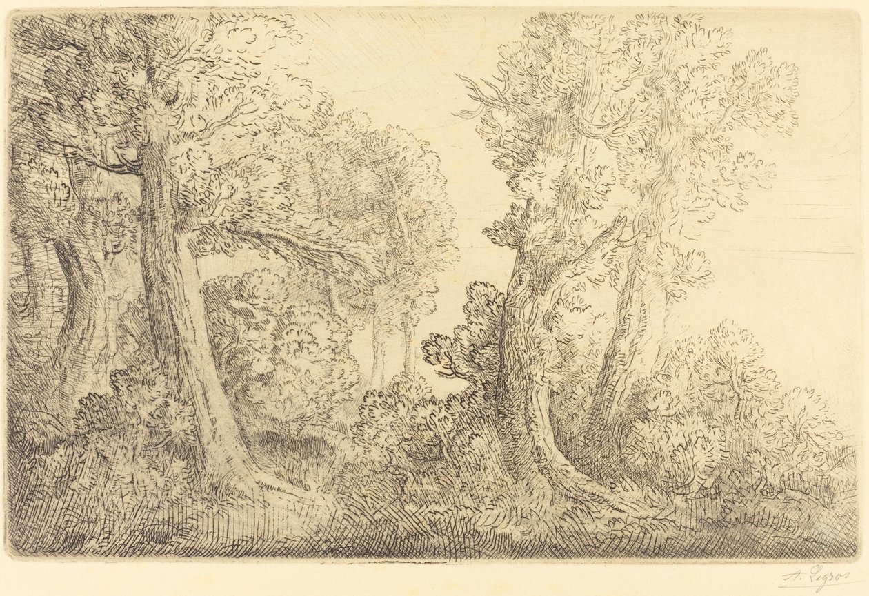 Near the Woods, Veronne by Alphonse Legros