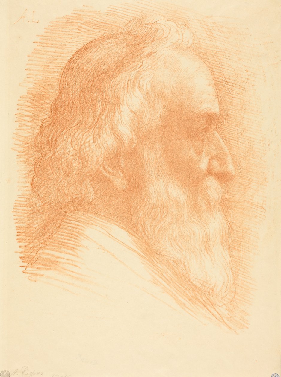 Self-Portrait, 10th plate by Alphonse Legros