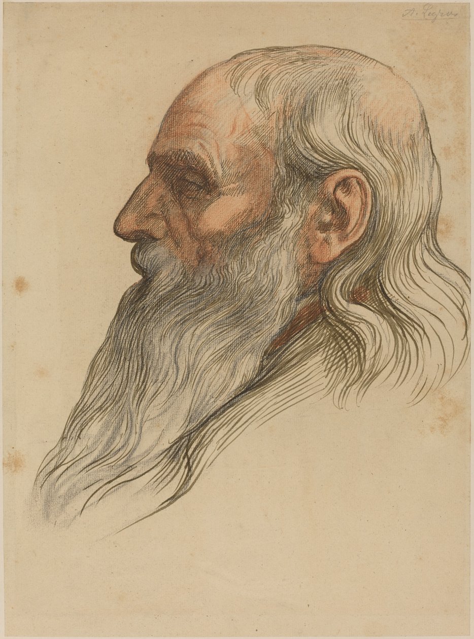 Study of a Man