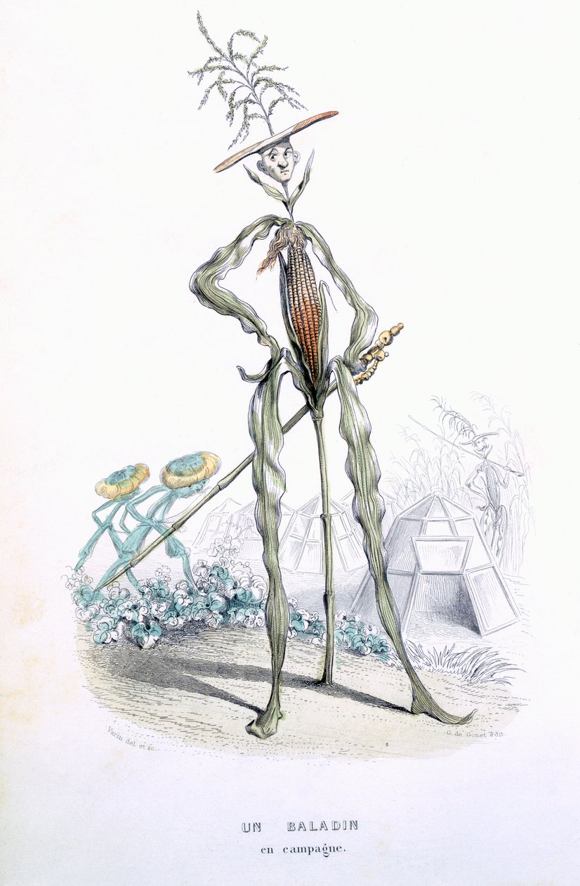A Country Stroller, from The Empire of Vegetables, Memoirs of Curcurbitus by Amedee Varin