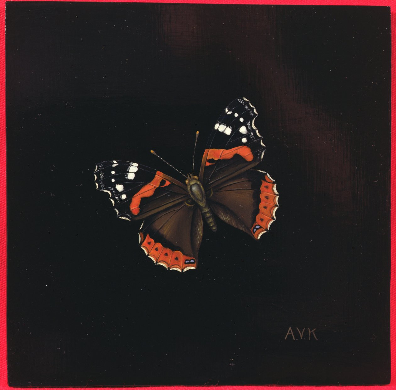 Red Admiral Butterfly by Amelia Kleiser