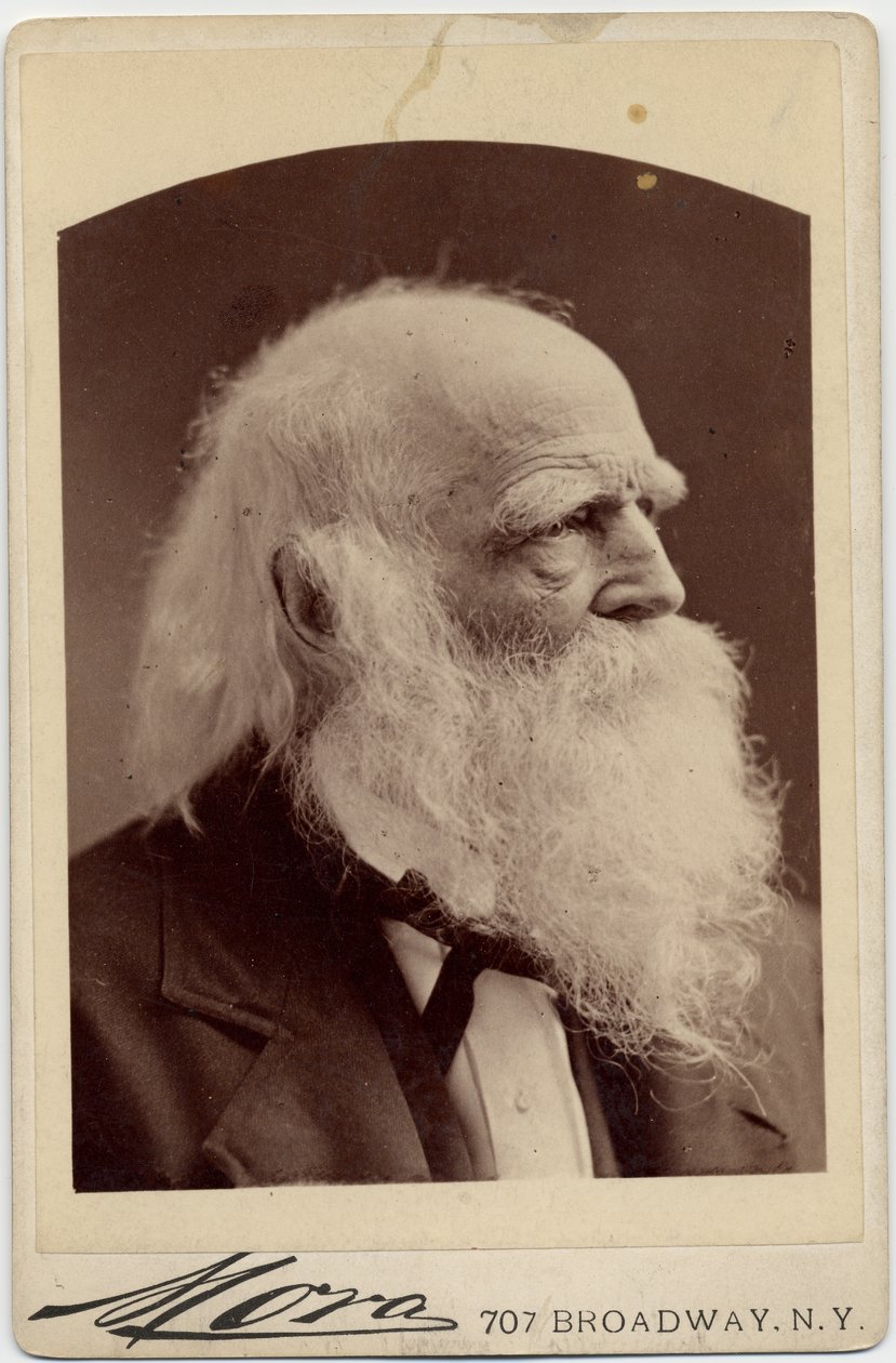 William Cullen Bryant (1794-1878), American Poet by American Photographer