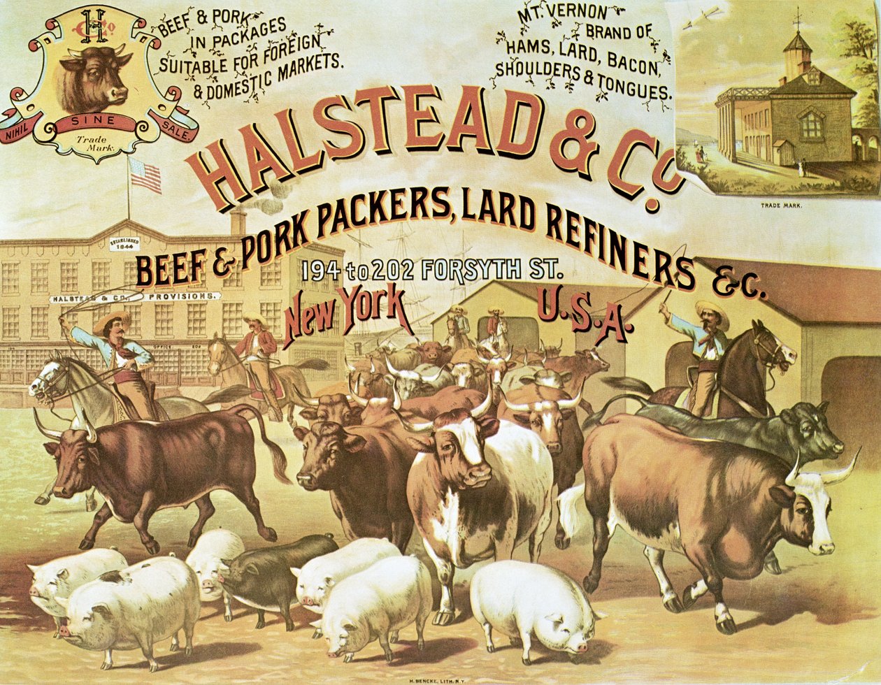 Beef & Pork Packers by American Photographer