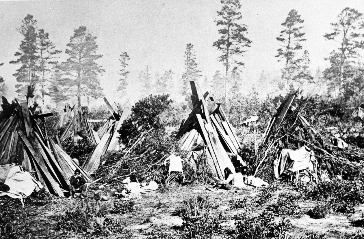 Yosemite Indian Huts by American Photographer