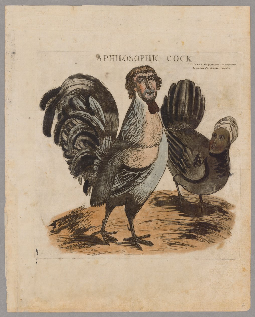 A Philosophic Cock by American School