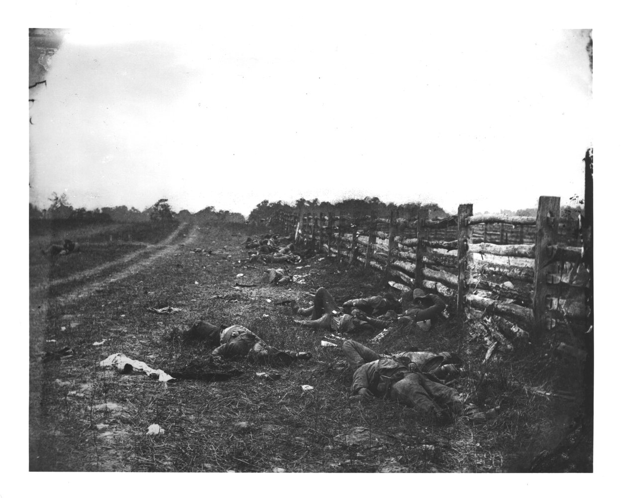 Confederate Dead along the West Side of Hagerstown Pike, Battle of Antietam, 19th September 1862 by American School