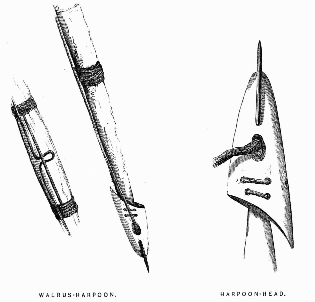 Eskimo Hunting Tools: Harpoons - Elisha Kent Kane, Arctic Explorations in the Years 1853-1855, vol. 1, p. 412, Philadelphia by American School