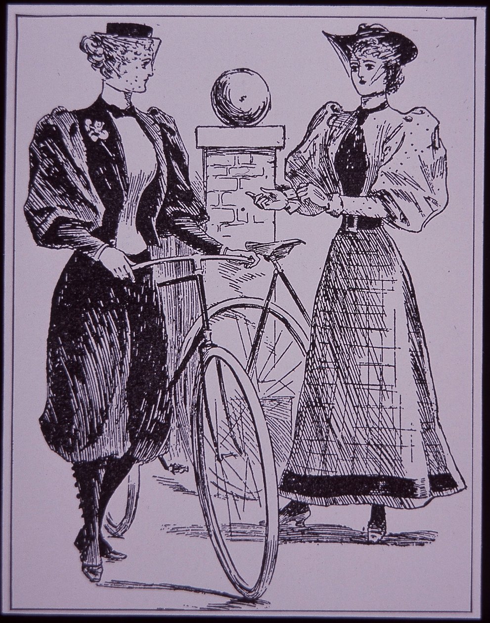 Female Cycling Costume, Showing Girl in Bloomers, New York, USA by American School