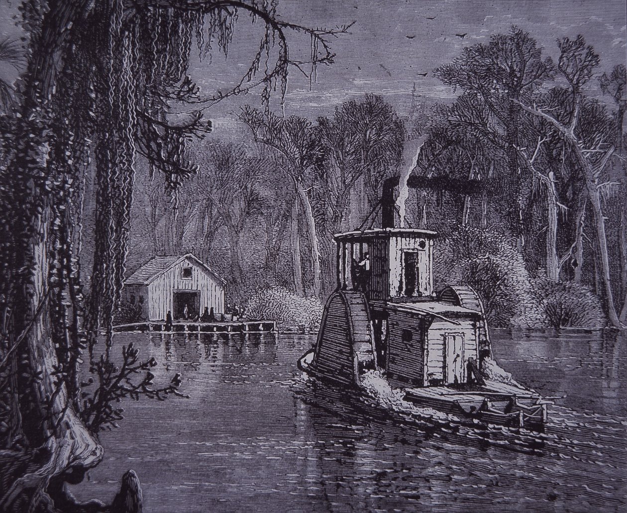 Florida Everglades Scene by American School