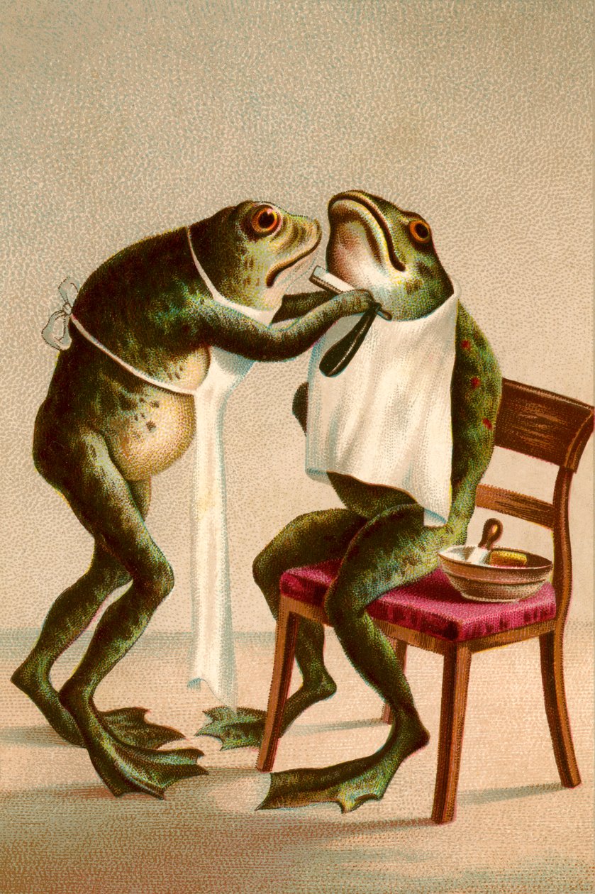 Humorous Illustration of a Frog Getting a Shave by American School