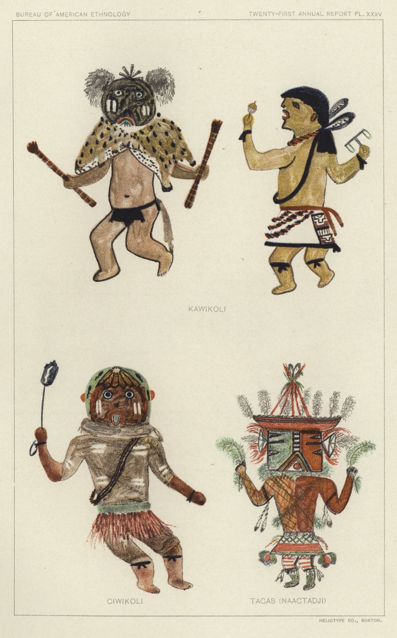 Kawikoli, Ciwikoli, Tacab (Naactadji) by American School