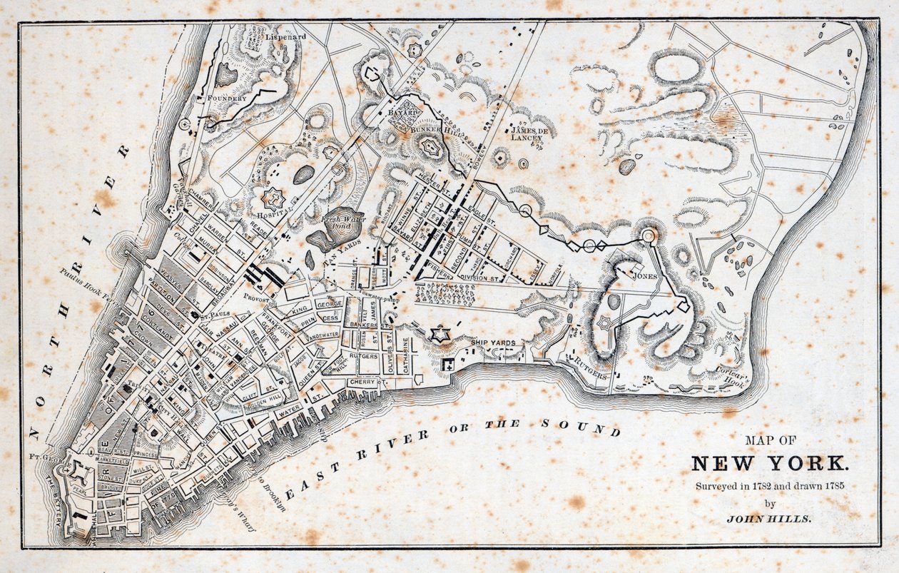 Map of New York by American School