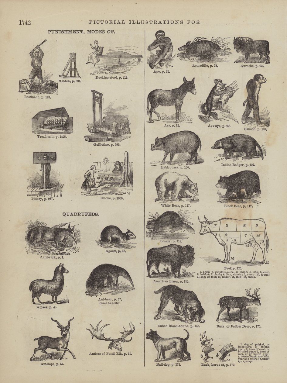 Page from Webster