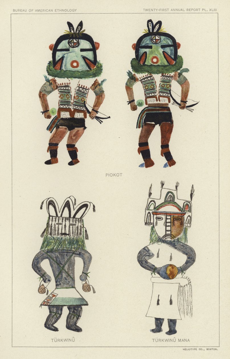 Piokot, Turkwinu, Turkwinu Mana by American School