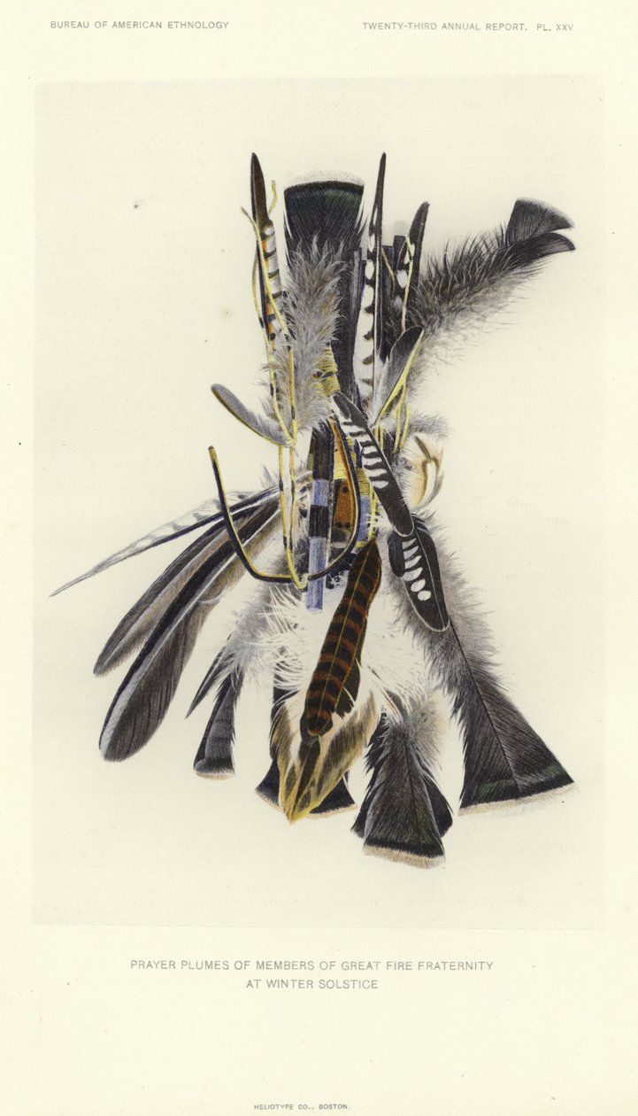 Prayer Plumes of Members of Great Fire Fraternity at Winter Solstice by American School