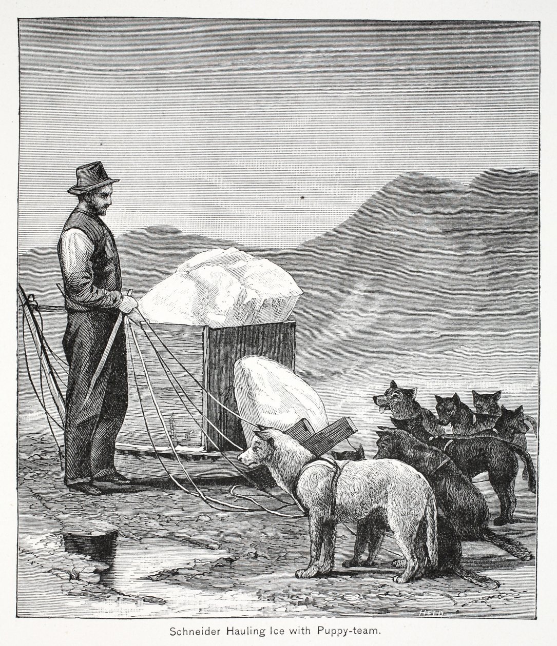 Schneider Hauling Ice with the Puppy-Team, London 1886 by American School