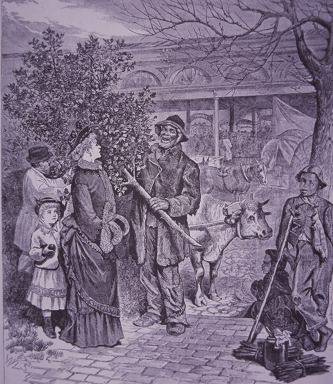 Selling Christmas trees in Richmond, Virginia by American School