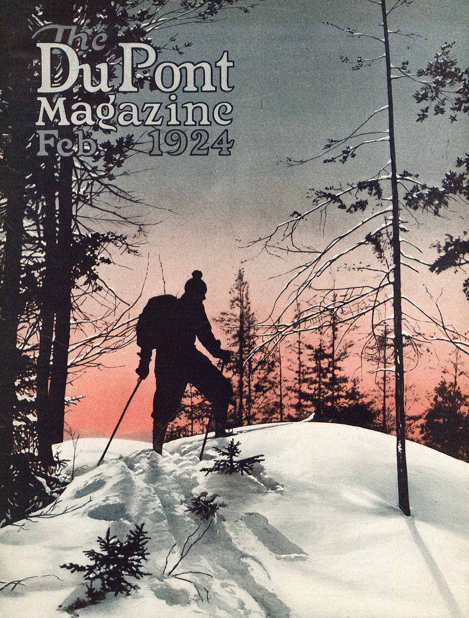 Skiing by American School