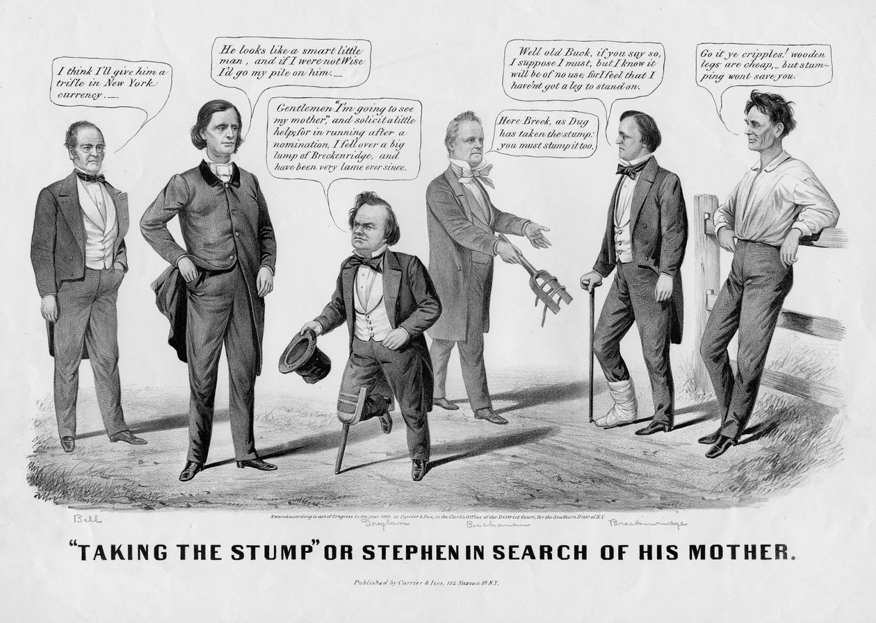 Taking the Stump, or, Stephen in Search of His Mother by American School