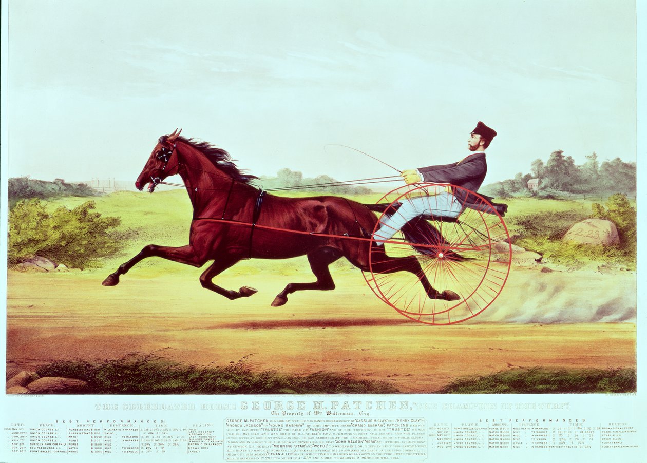 The Celebrated Horse, George M. Patchen, The Champion of the Turf by American School