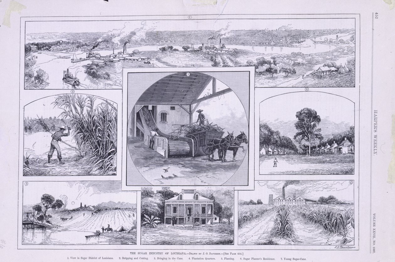 The Sugar Industry of Louisiana by American School