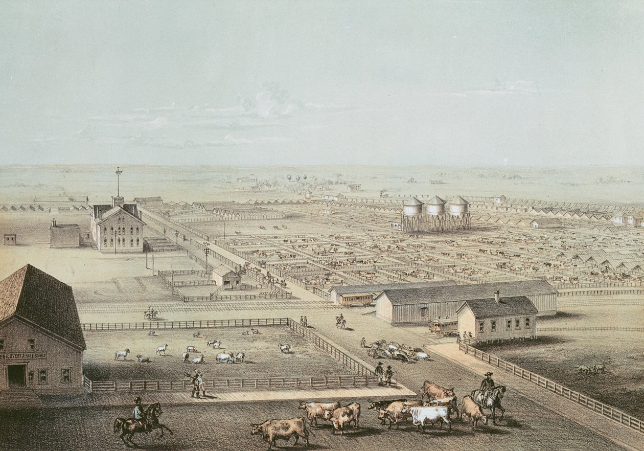 Union Stockyards, Chicago by American School