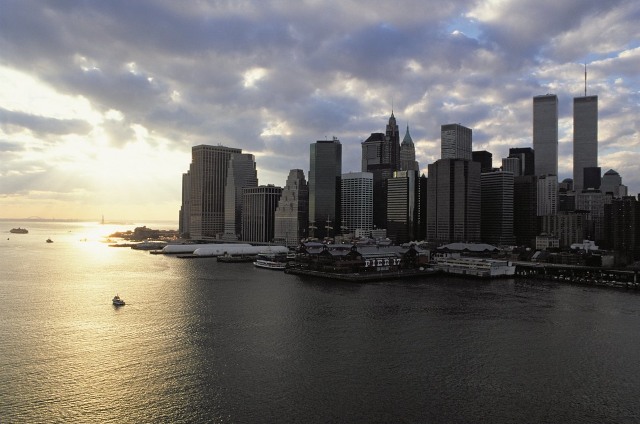 View towards the Financial District across the East River by American School